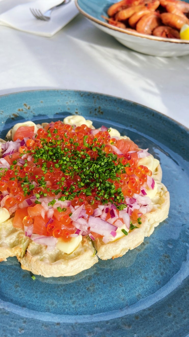  [북유럽3국] 노르웨이 오슬로(Oslo) 아케르스후스 뷰의 브런치 맛집, The Salmon