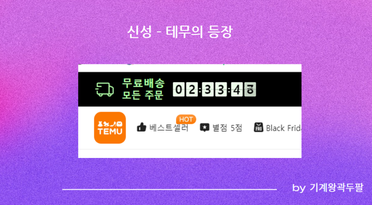  테무 실제 주문 후기