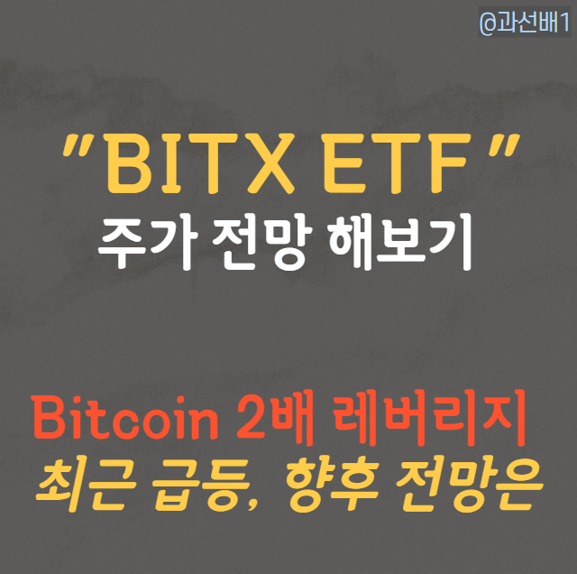 BITX ETF 주가, 비트코인 2배 ETF의 향후 전망은