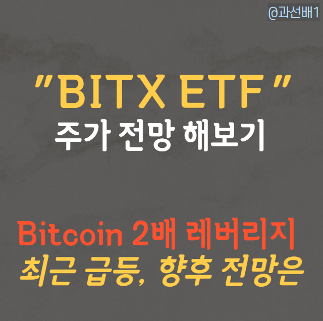  BITX ETF 주가, 비트코인 2배 ETF의 향후 전망은