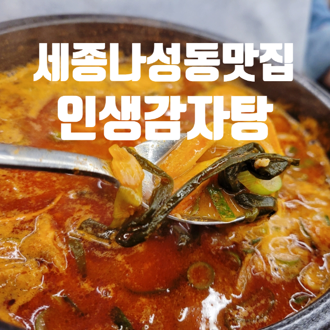  세종 나성동 맛집 인생감자탕