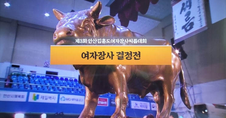 제3회, 안산 김홍도여자<b>장사 씨름대회</b>(매화급,<b>최다혜</b>.국화급... 