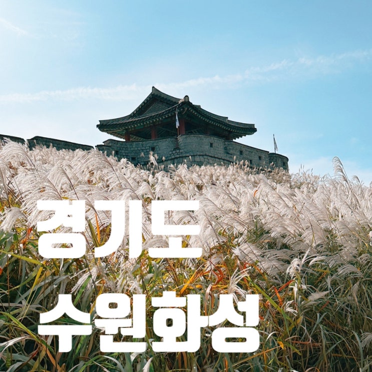 경기도 수원화성 성곽길 억새명소 동암문 화서공원 방화수류정