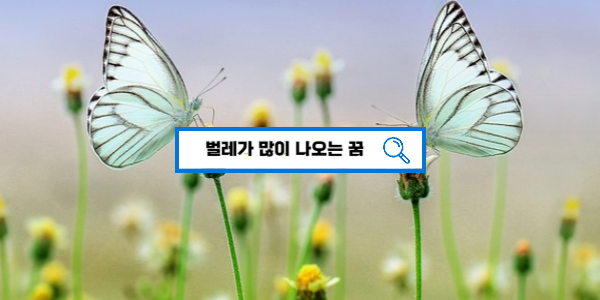  [무료꿈해몽] 벌레가 많이 나오는 꿈해몽 218가지