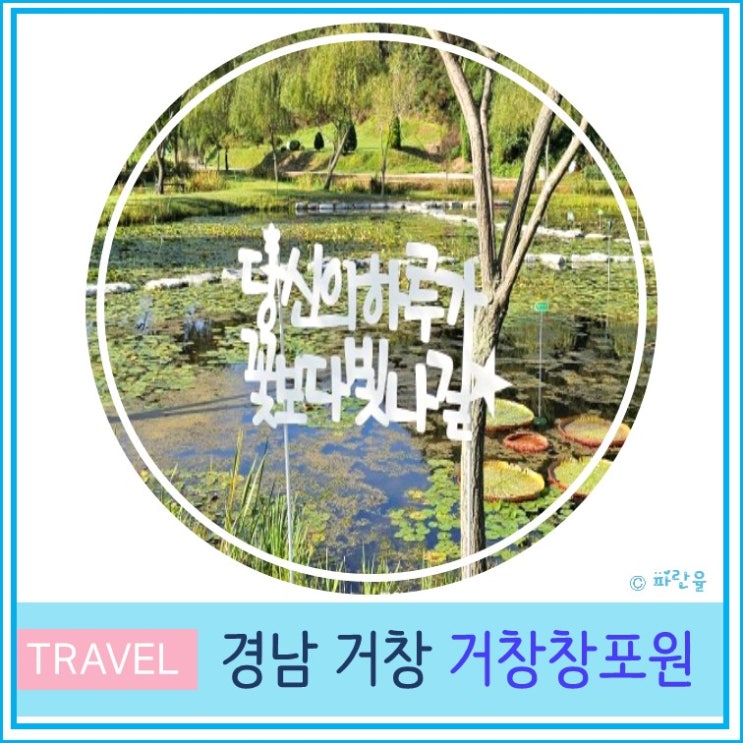  거창 창포원 대구 근교 나들이하기 좋은 곳 경남 가을 여행지