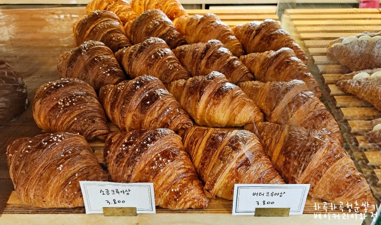  충주 카페 베이커리이와정의 맛있는 크루아상