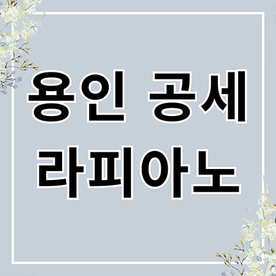  용인 공세 라피아노 타운하우스 공세지구 브랜드 단독주택 기흥구 공세동 입지 타입별 분양가격 모델하우스