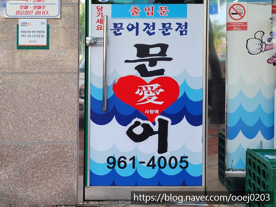문어애 사진 4