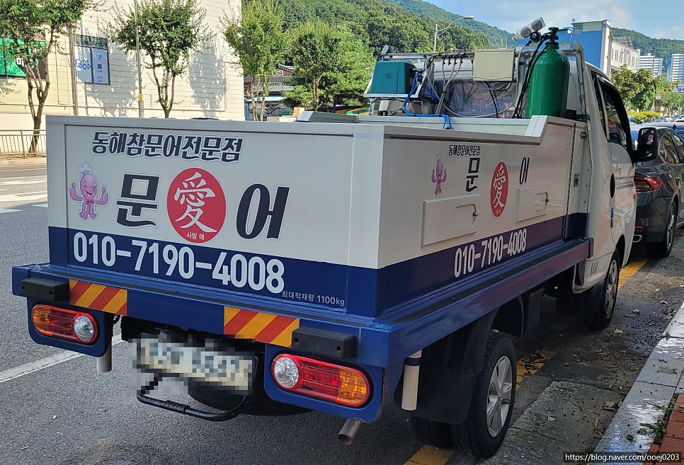 문어애 사진 2
