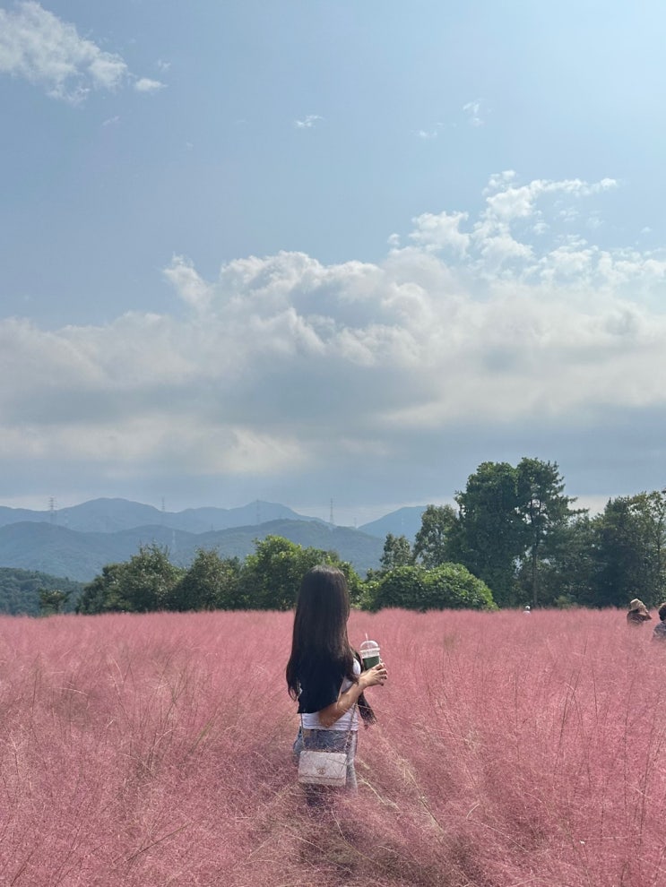  포천 1박2일 여행 | 허브아일랜드, 파인밸리 글램핑 , 주파크