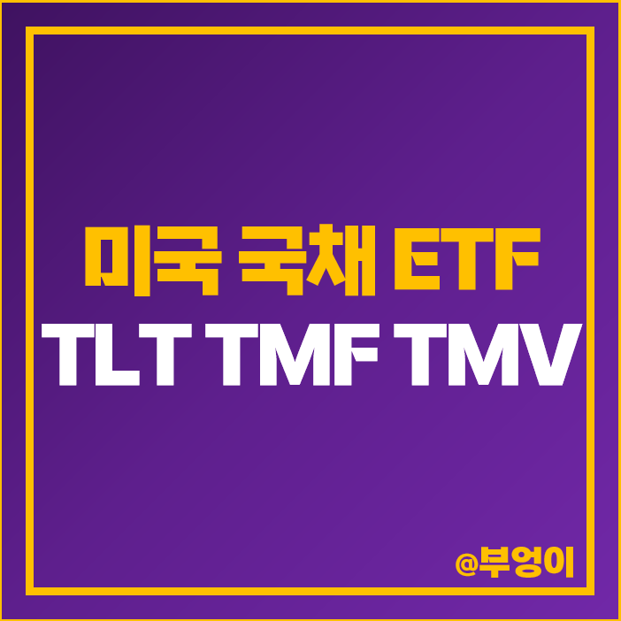 미국 국채 ETF 투자 장기 TLT 레버리지 TMF 반대 인버스 TMV 주가 배당