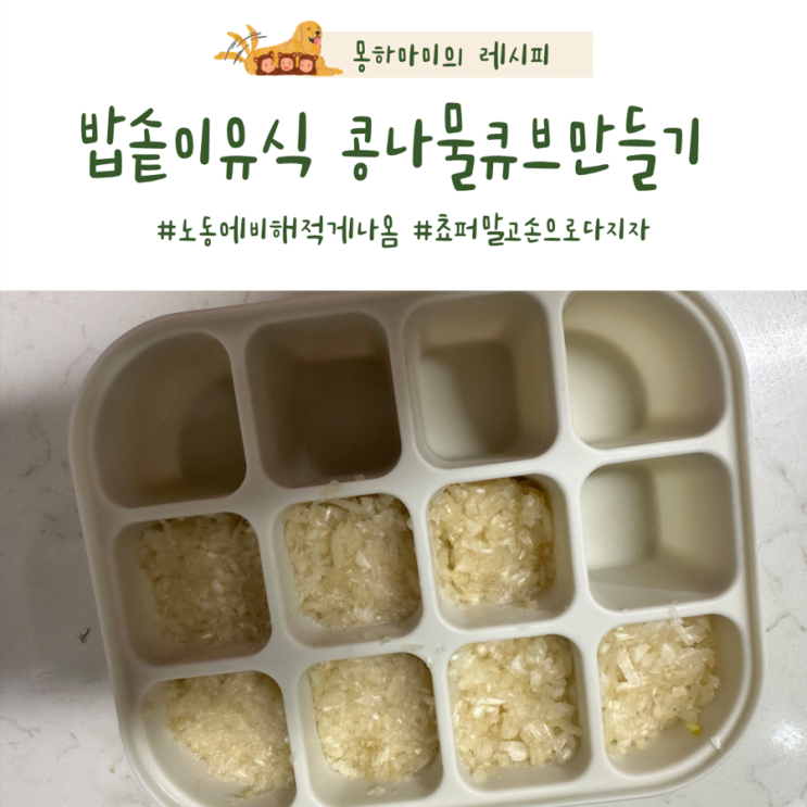  밥솥이유식 콩나물큐브 만드는 방법 콩나물궁합