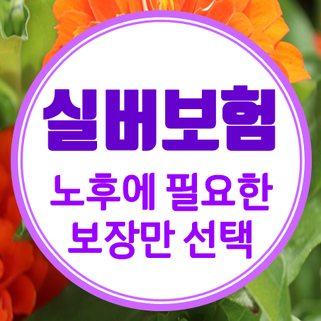  실버보험 추천, 고령자 부모님을 위한 시니어보험 가격 비교 후 가입하세요.