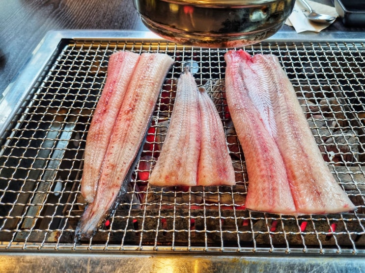  청담 맛집 풍천가 역시 보양식은 장어구이가 최고