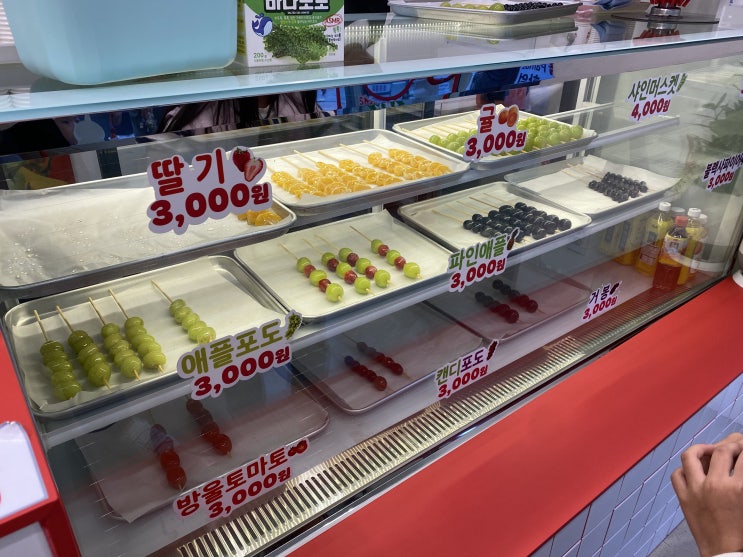  바삭한 탕후루 맛집 왕코미네 탕후루