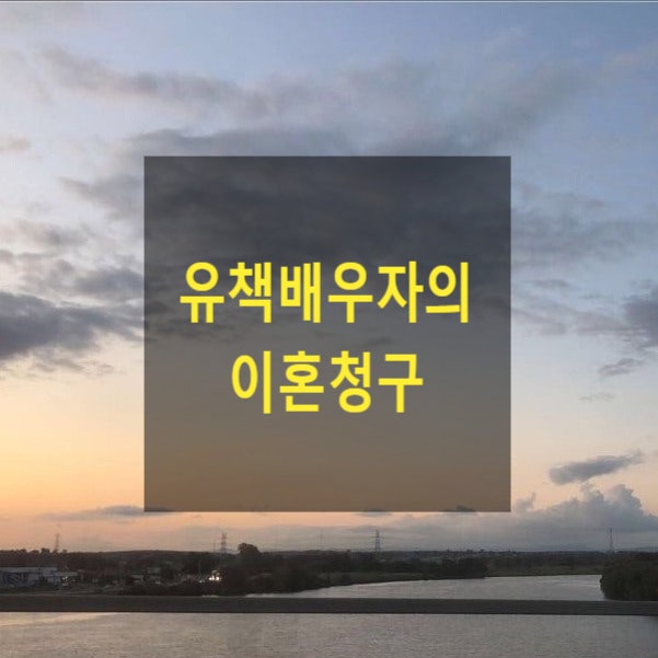  유책배우자의 이혼청구(23)