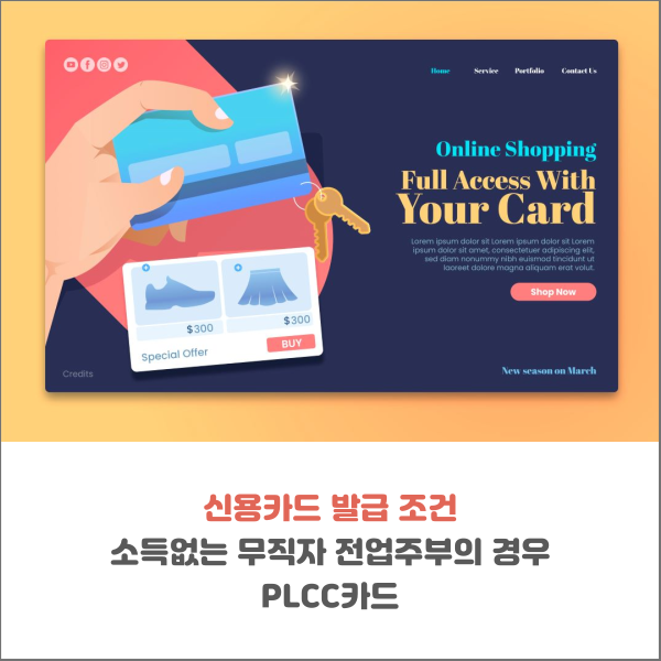  신용카드 발급 조건 무직자 전업주부의 경우 PLCC카드
