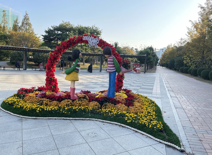  [남구] 평화공원 국화전시회 (가을 국화축제 남구가볼만한 곳)