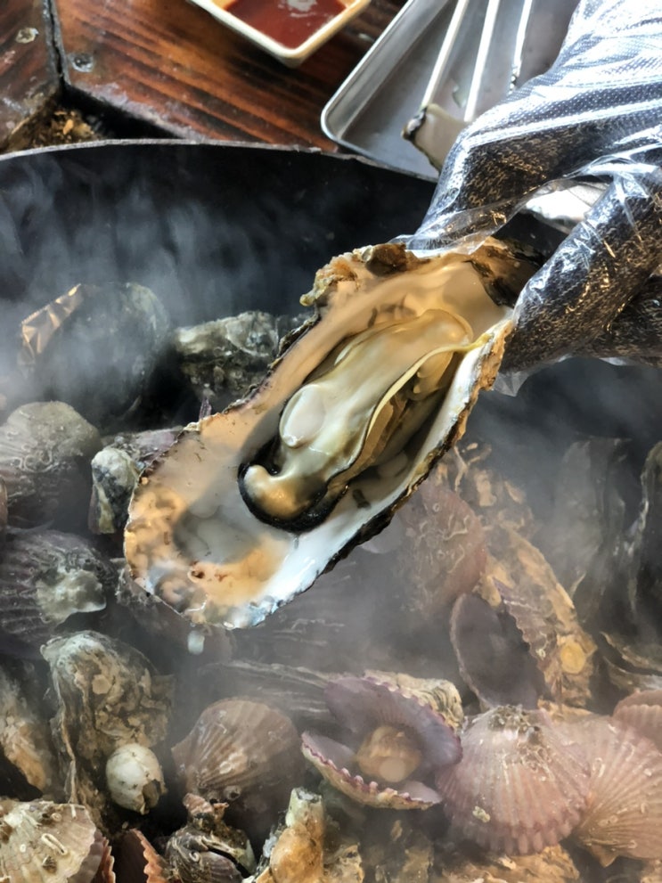 마산 구산면 저도연육교)반동원조굴구이 한솥 가득 가리비&굴찜 원조굴구이 마산 구산면 저도연육교)반동원조굴구이 한솥 가득 가리비&굴찜 원조굴구이