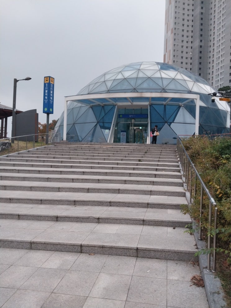  친자확인검사 서해선 달미역