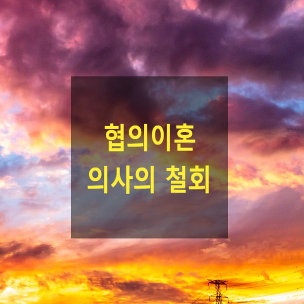  협의이혼 의사의 철회(19)