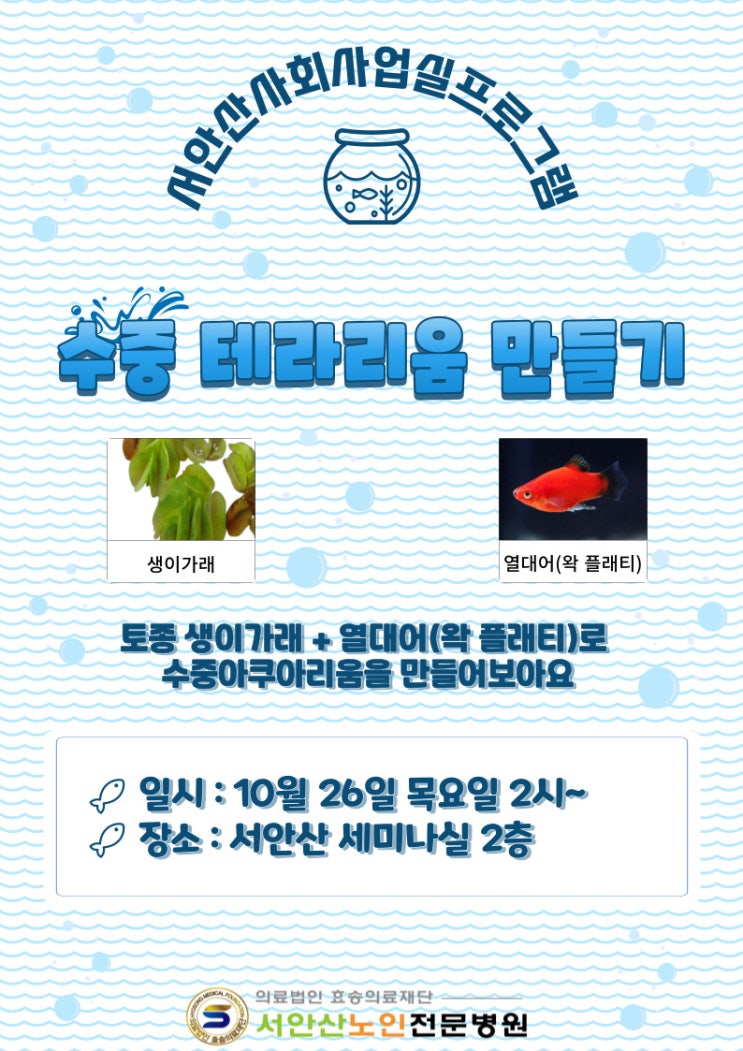  [안산재활요양병원]사회사업실 수중테라리움 만들기 (feat. 요양병원 심리치료)