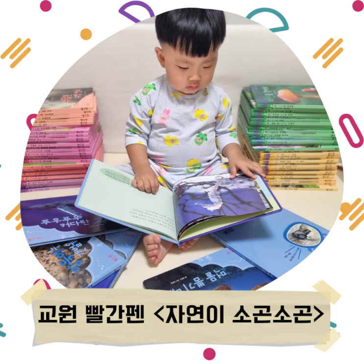  교원 빨간펜 자연이 소곤소곤_실사자연관찰책/내돈내산 아기책/자연관찰전집