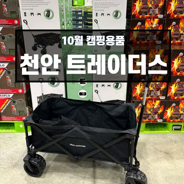  2023 10월 천안 트레이더스 캠핑용품 피크아웃도어 웨건 추천