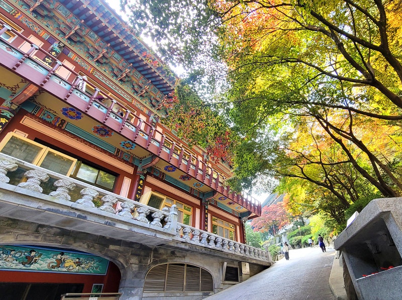 단양 가볼만한곳 구인사 사찰 단풍명소 (주차, 셔틀버스) : 네이버 블로그