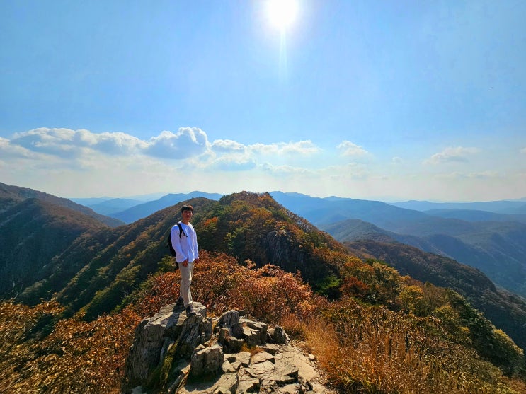  전라북도 정읍 내장산 등산코스 (주차장~내장사~까치봉~신선봉~연자봉~전망대) + 단풍절정시기