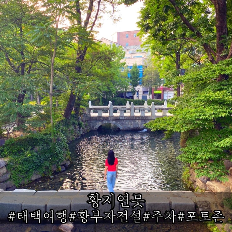  황지연못 전설 주차 포토존 총정리