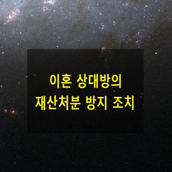  이혼 상대방의 재산처분 방지 조치(27)
