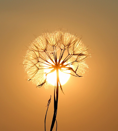  서산 부석사