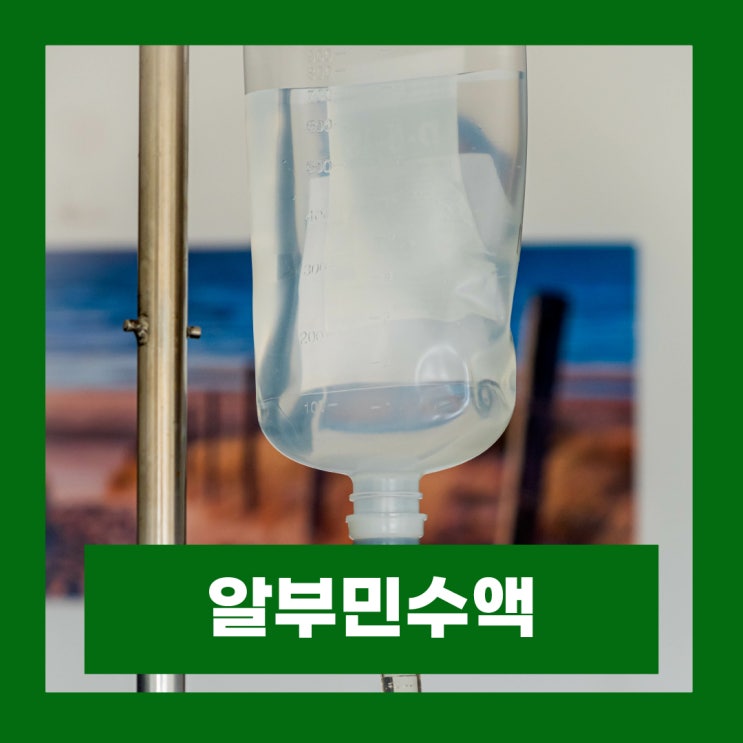  알부민 정상수치 높음 낮음 증상 알부민수액 효능 부작용