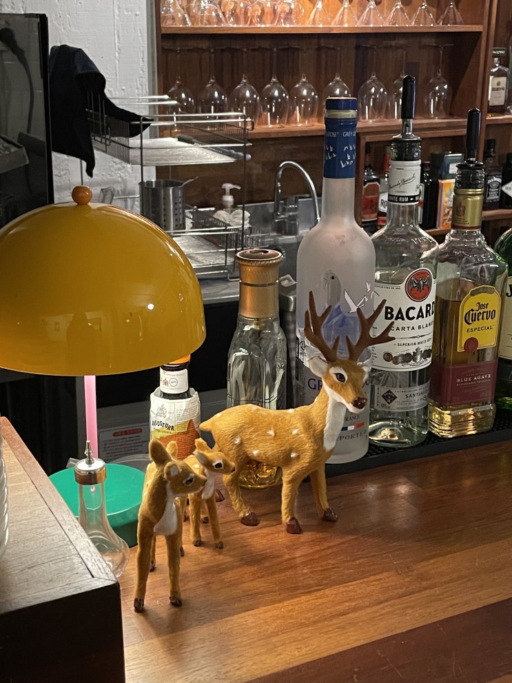  <한성대입구> 분위기 좋은 술집 노루바 noru_bar