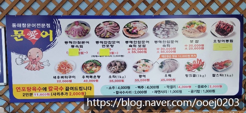 문어애 사진 6