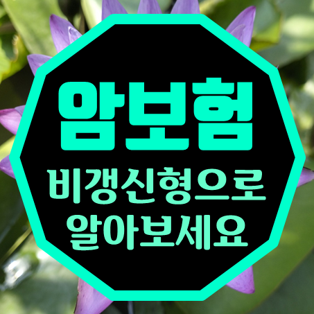  비갱신형암보험 추천, 가격 변동이 없는 비갱신암보험 가입조건을 비교할 수 있어요.