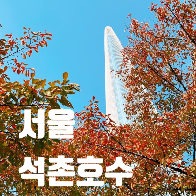 서울 잠실 석촌호수 단풍 현황 가을 가볼만한곳