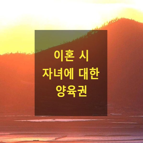  이혼 시 자녀에 대한 양육권(40)