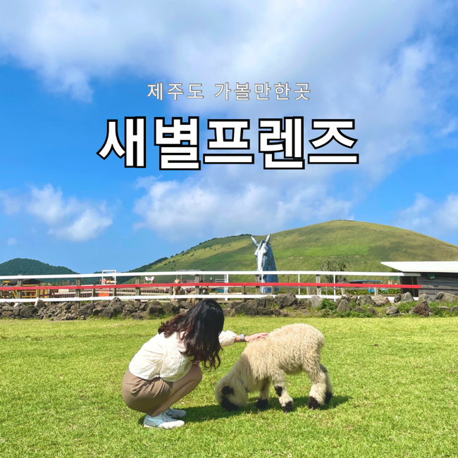  제주도 가볼만한곳 새별프렌즈 동물원 입장료 할인 먹이주기 체험