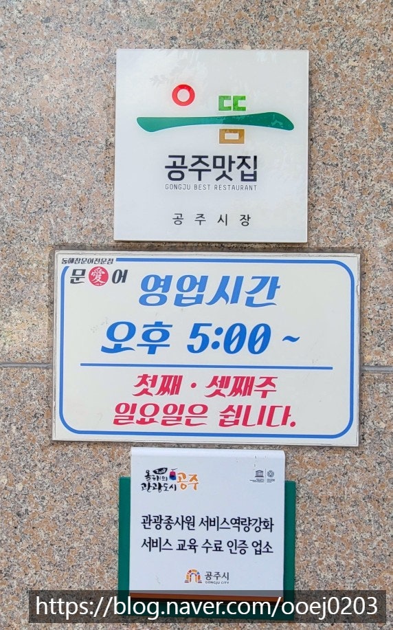 문어애 사진 5