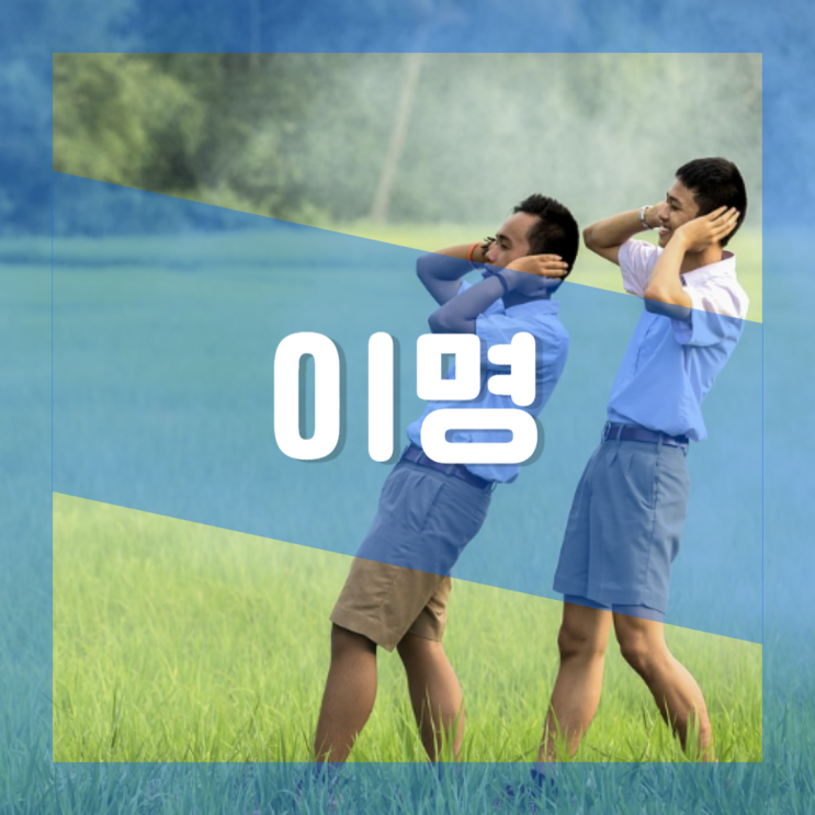  한쪽 귀 귓속 이명 초기증상 원인 : 삐소리 울림 없애는법 치료방법