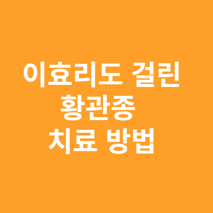 황관종 이효리도 걸린 한관종 치료 방법