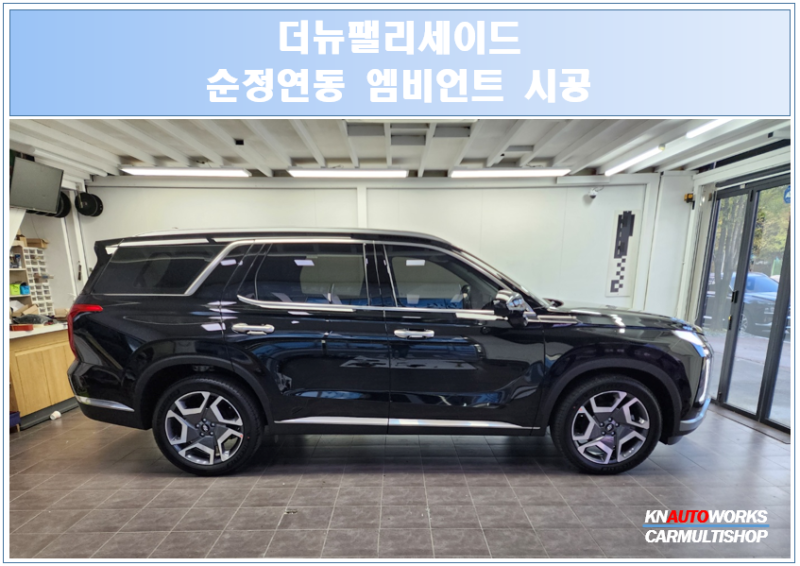 더뉴팰리세이드 순정 연동 엠비언트