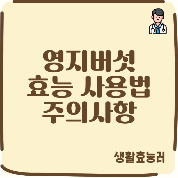  영지버섯의 효능 및 사용법 주의사항