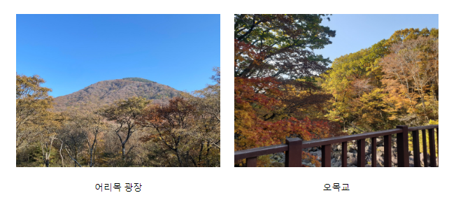 오늘(26일), 한라산 단풍 절정 오늘(26일), 한라산 단풍 절정