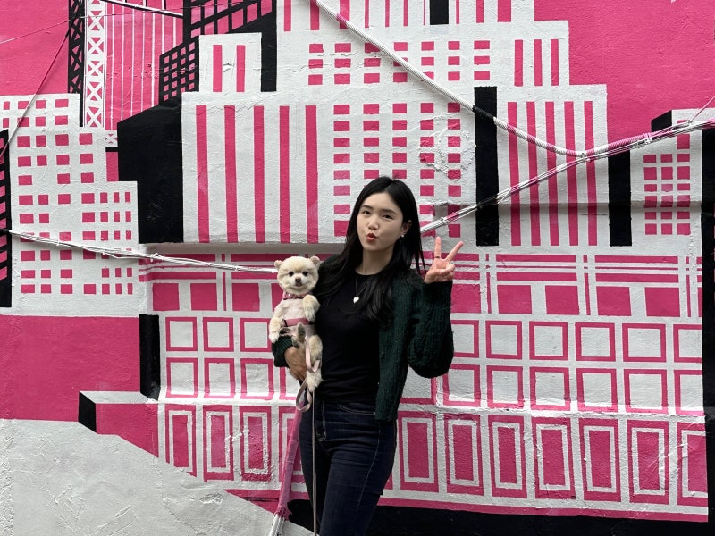 평택 송탄 가볼만한곳 국제중앙시장 주차장 데이트 놀거리