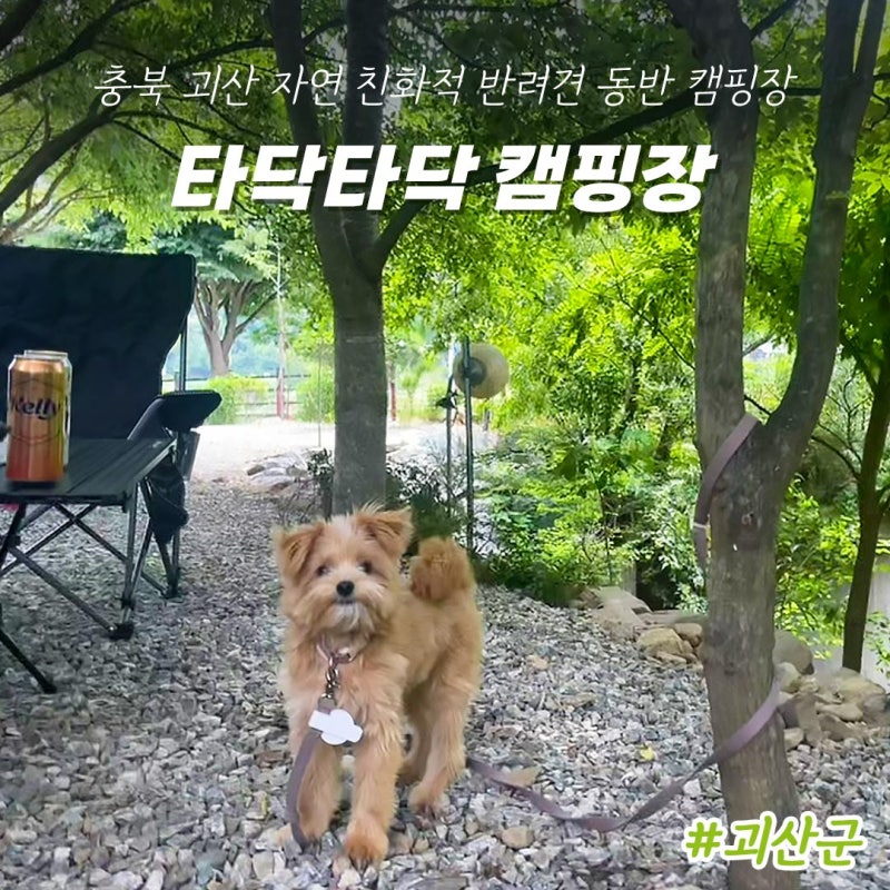 사진 3