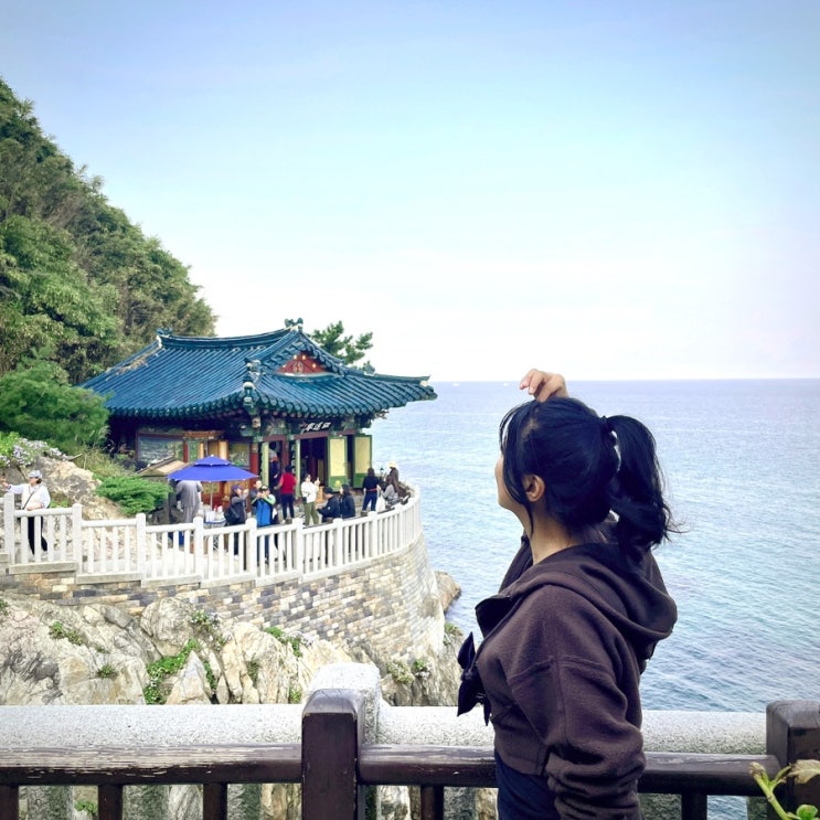  낙산사 홍련암 보타전 가을여행 (관람시간 주차장 무료입장)