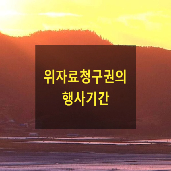 이혼 시 위자료 청구권의 행사기간(30)